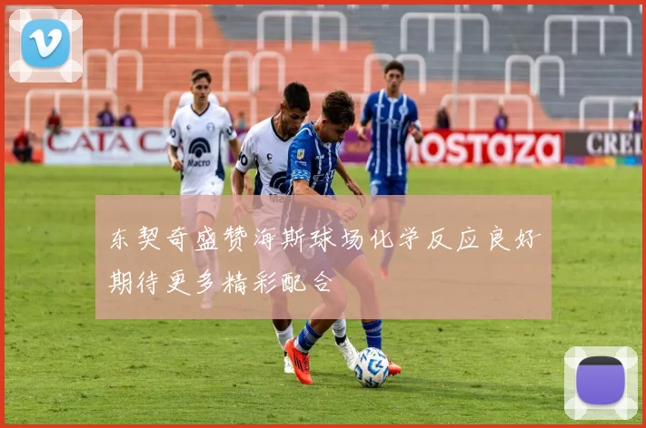 东契奇盛赞海斯球场化学反应良好期待更多精彩配合