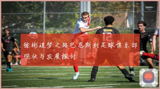 徐彬追梦之路巴恩斯利足球俱乐部现状与发展探讨